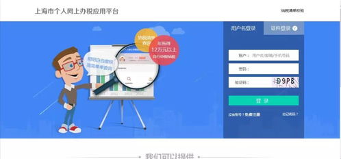 自然人稅收管理系統(tǒng)客戶端生產(chǎn)經(jīng)營(yíng)申報(bào)操作與信息系統(tǒng)運(yùn)行維護(hù)服務(wù)指南